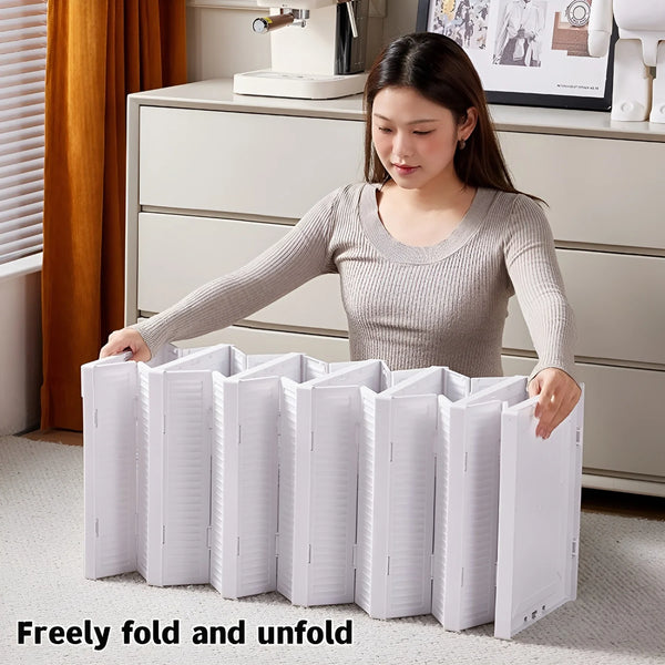 Adjustable Shoe Storage Box